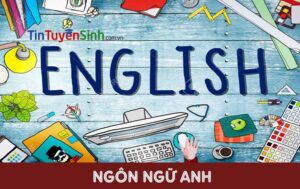 review ngành ngôn ngữ anh