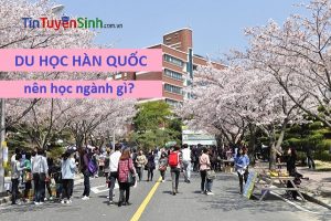 Du học Hàn Quốc nên học ngành gì